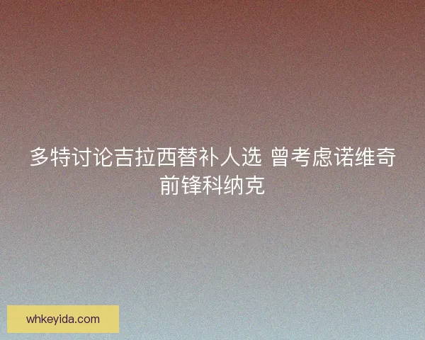 多特讨论吉拉西替补人选 曾考虑诺维奇前锋科纳克