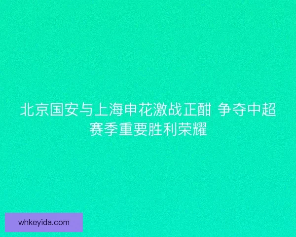 北京国安与上海申花激战正酣 争夺中超赛季重要胜利荣耀 北京国安与上海申花激战正酣 争夺中超赛季重要胜利荣耀