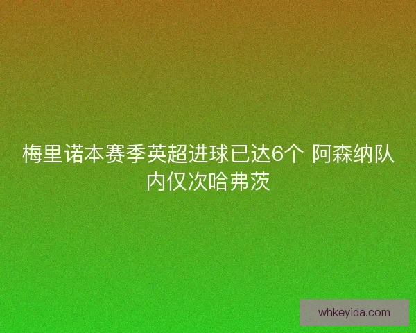 梅里诺本赛季英超进球已达6个 阿森纳队内仅次哈弗茨