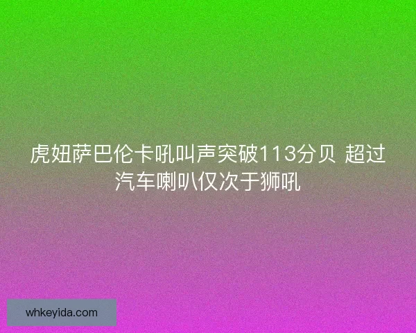 虎妞萨巴伦卡吼叫声突破113分贝 超过汽车喇叭仅次于狮吼