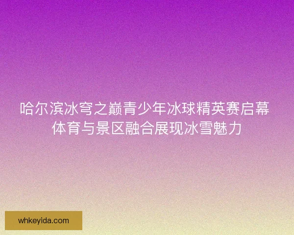 哈尔滨冰穹之巅青少年冰球精英赛启幕 体育与景区融合展现冰雪魅力