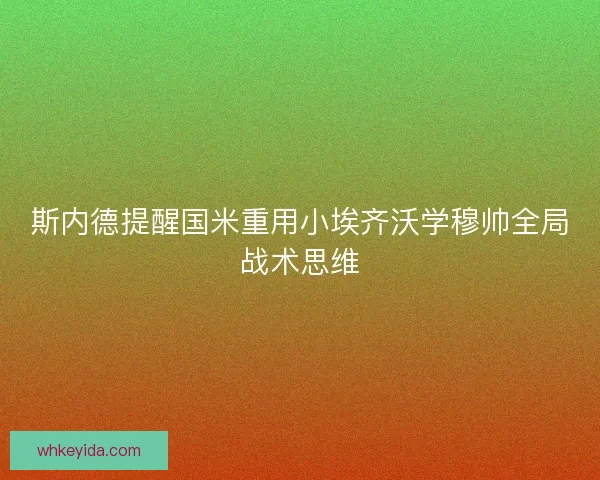 斯内德提醒国米重用小埃齐沃学穆帅全局战术思维