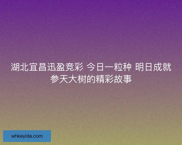 湖北宜昌迅盈竞彩 今日一粒种 明日成就参天大树的精彩故事 湖北宜昌迅盈竞彩 今日一粒种 明日成就参天大树的精彩故事