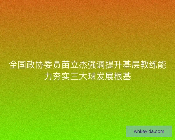 全国政协委员苗立杰强调提升基层教练能力夯实三大球发展根基 全国政协委员苗立杰强调提升基层教练能力夯实三大球发展根基
